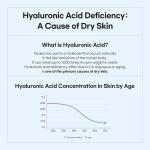 Witch Hazel Hyaluronic Low pH Toner (300ml)